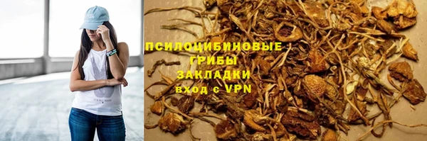 Альфа ПВП Арсеньев